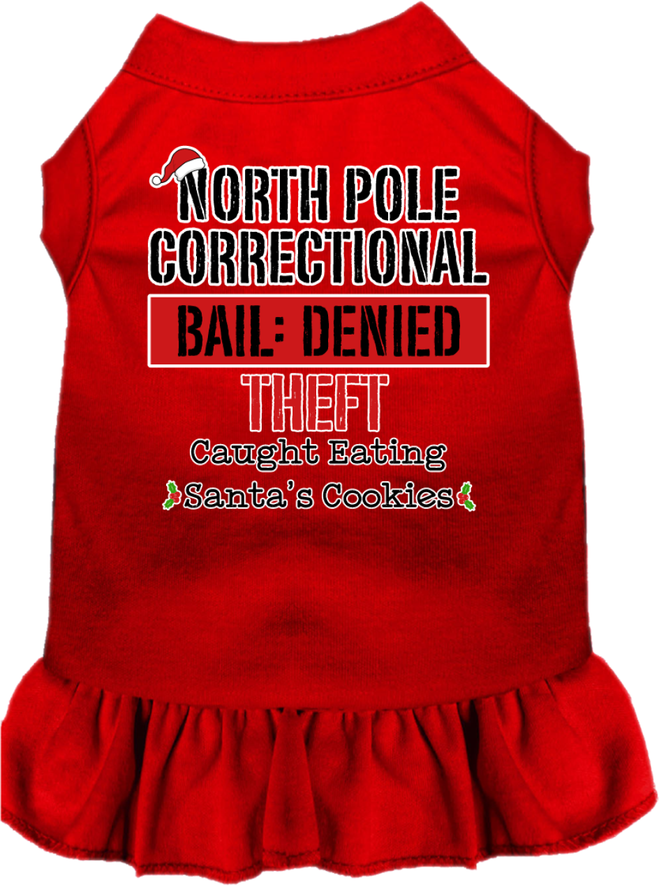 North Pole Correctional Screen Print Dog Dress Red Size XL